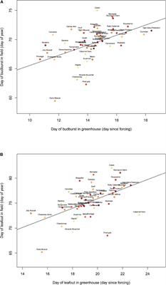 Exploring Grapevine Phenology and High Temperatures Response Under Controlled Conditions